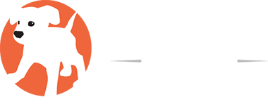 apuppyforyou.com apuppyforyou.com